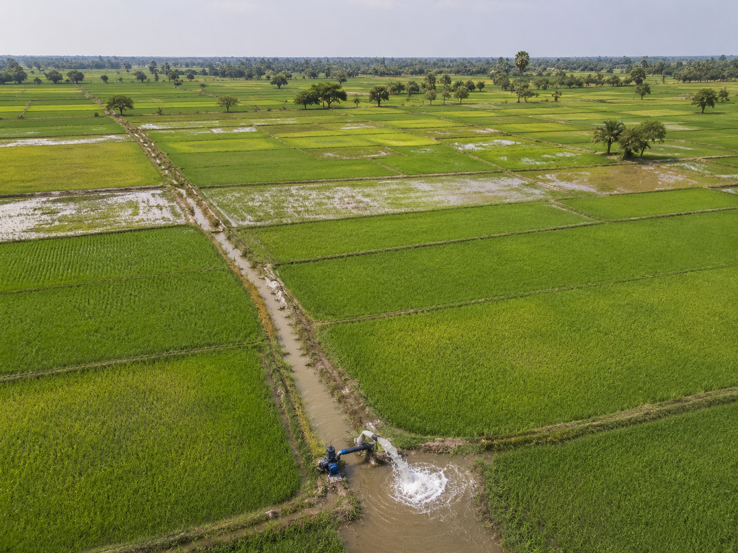 Pompe agricole pour irrigation du maïs